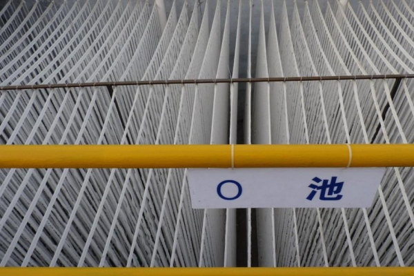 污水处理填料 污水处理填料