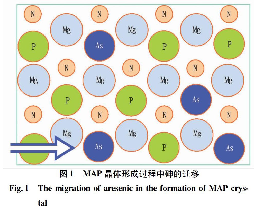 重金属在废水MAP磷回收过程中的迁移行为研究进展